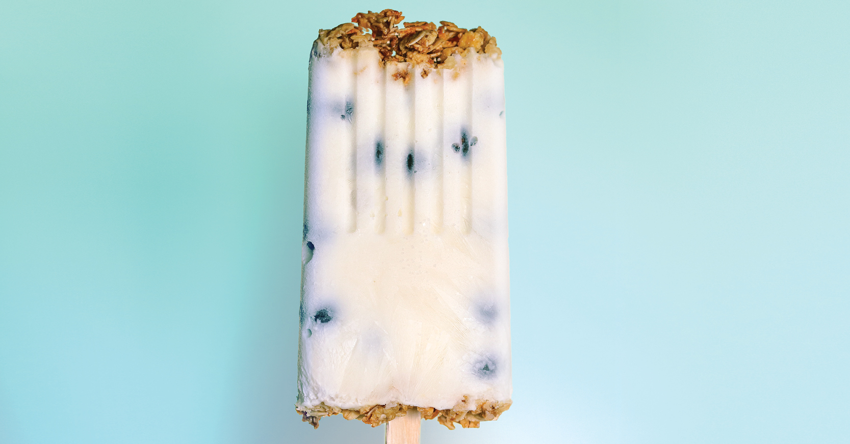 Yogurt Granola Popsicle Recipe Hedessent